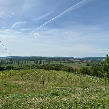 Apartamento Présház a hegytetőn Pécsely Exterior foto